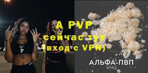винт Алексин