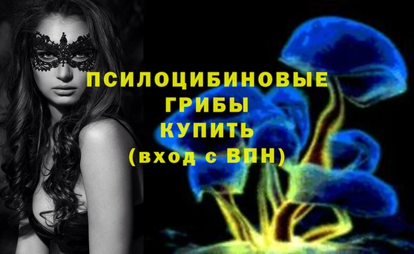спайс Алзамай